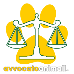 avvocato animali