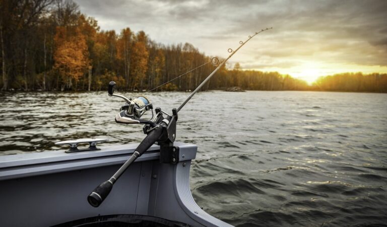 Pesca: usare piccioni vivi come esche è maltrattamento