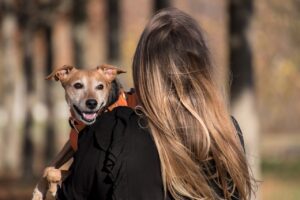 Costretto a risarcire la ex per averle “rubato” il cane