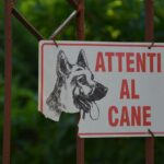 Perché il cartello “Attenti al cane” non serve