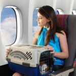 trasporto animali domestici aereo macchina treno