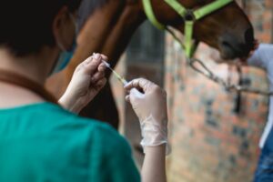 responsabilita veterinario risarcimento condanna