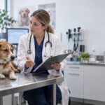 bocconi avvelenati per cani